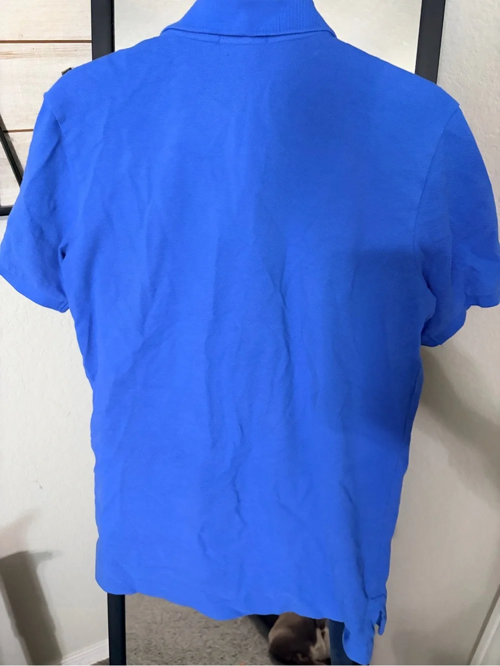 Ralph Lauren Royal Blue Polo with Orange Pony